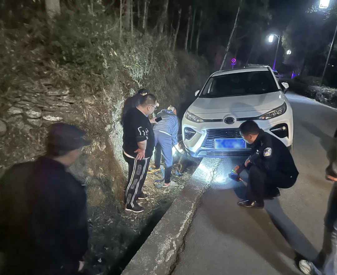 游客车陷水沟,汉中警民合力助脱困