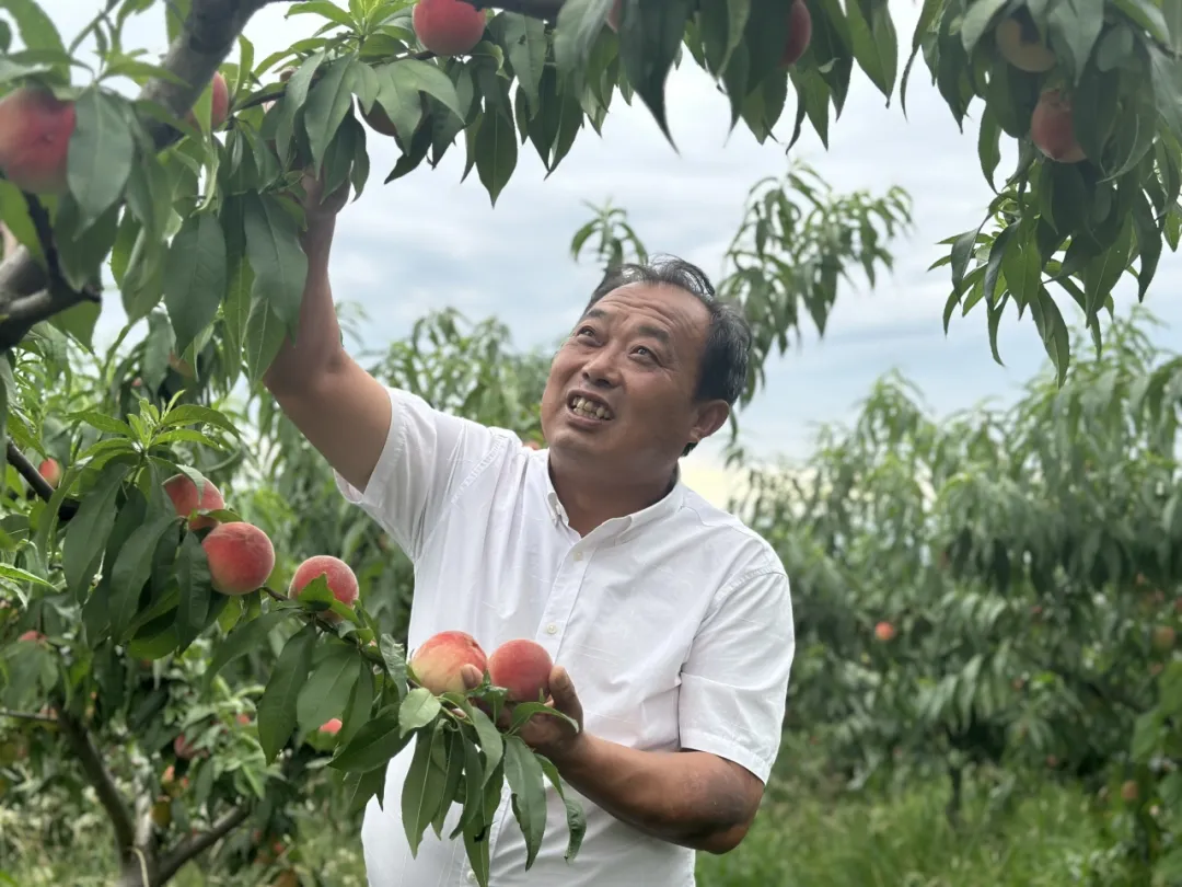 致富找出路!汉中村支书在土地里做“实验”→