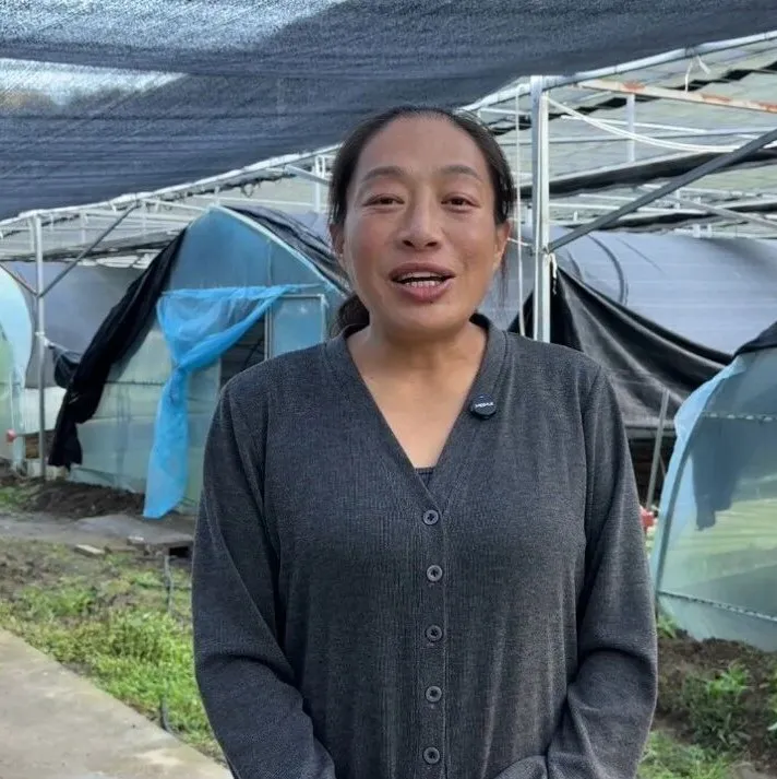 佛坪:大棚飘出菌菇香!富硒食用菌丰收,村民家门口就业增收