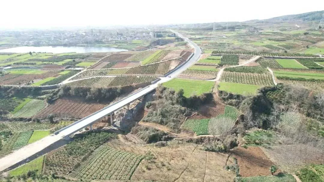 DJI_0565.JPG 图片