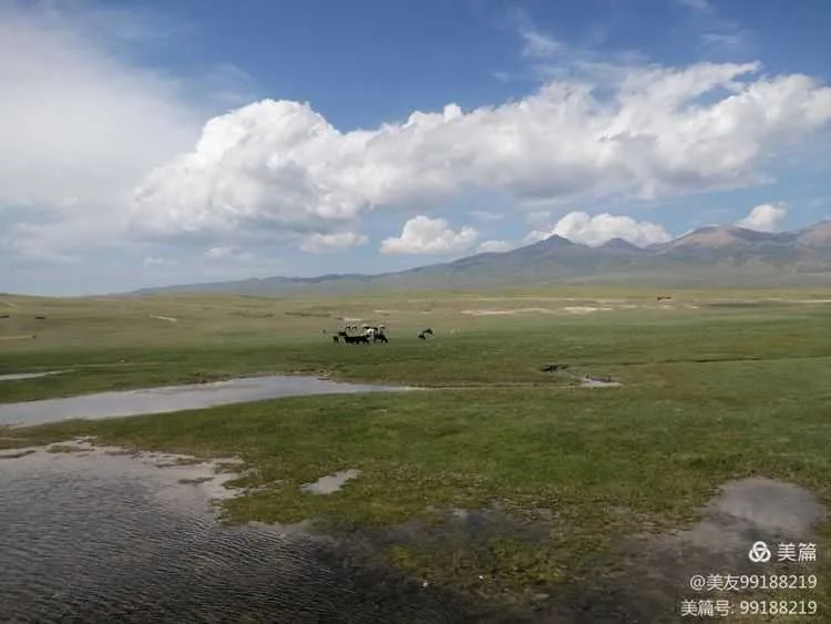 汉中书法家鲁克成:难忘的西域之行