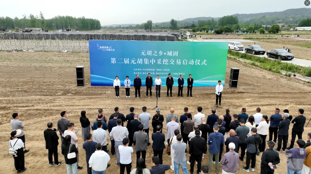 城固县举行“元胡之乡·城固——第二届元胡集中采挖交易暨现代农业产业链招商专题推介活动”