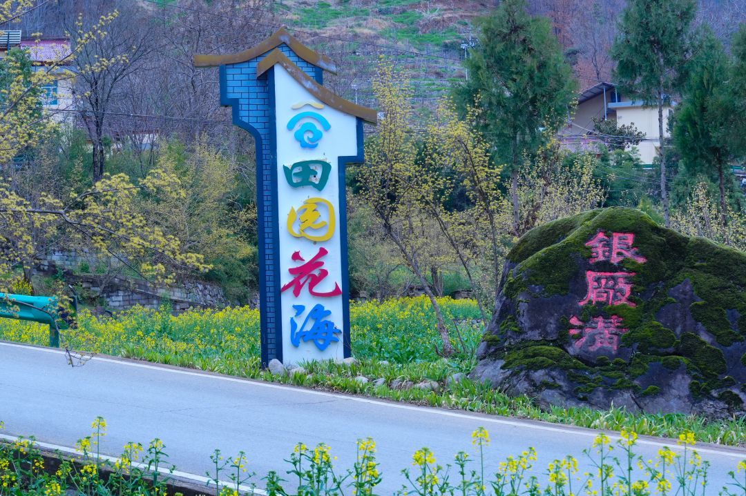 佛坪春日漫之旅：雪山缀金黄，烟火伴清欢，这才是春天该有的样子