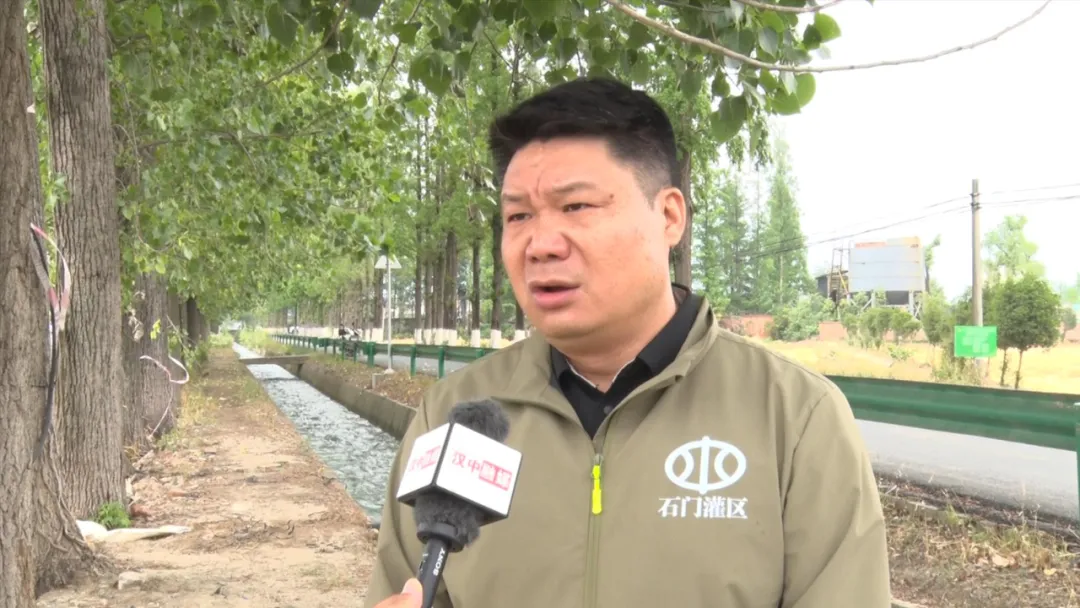 汉台：“秧”不误时 “水”尽其用，科学守护“粮袋子”