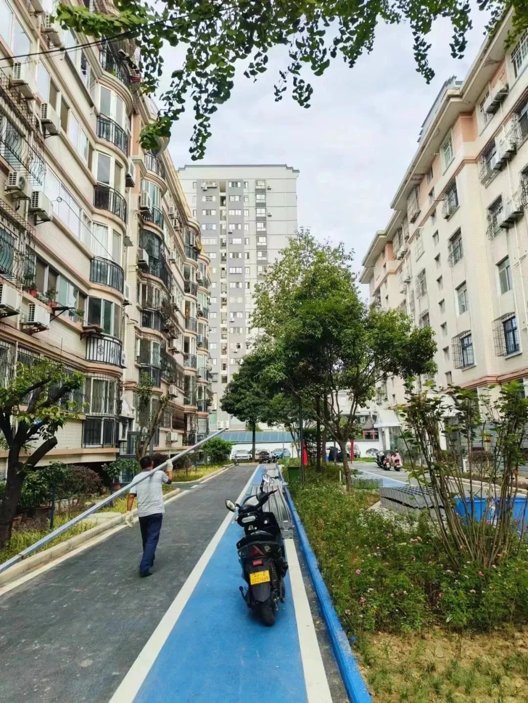 温暖旧改!汉中老旧小区焕新颜!