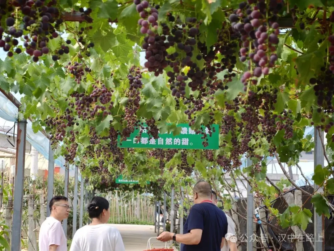 汉中西乡夏日玩法全攻略,古镇、露营、水上闯关一站式打卡
