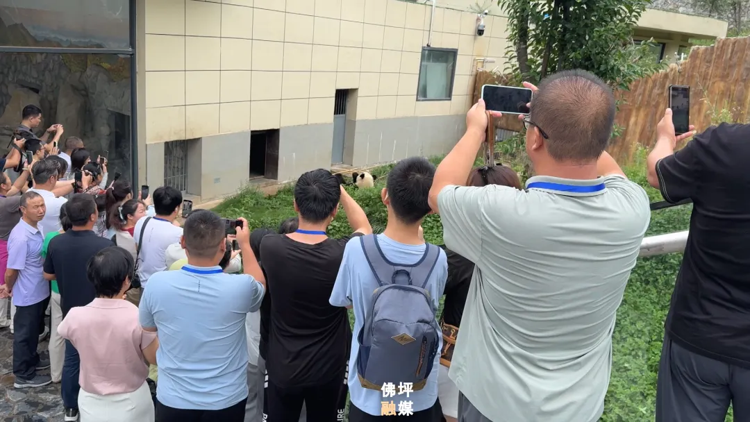 40家中省市网络媒体和名人聚集佛坪,为什么→ 做什么→
