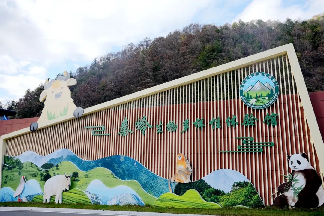 邂逅秦岭最美廊道，赴一场留坝秋日之约
