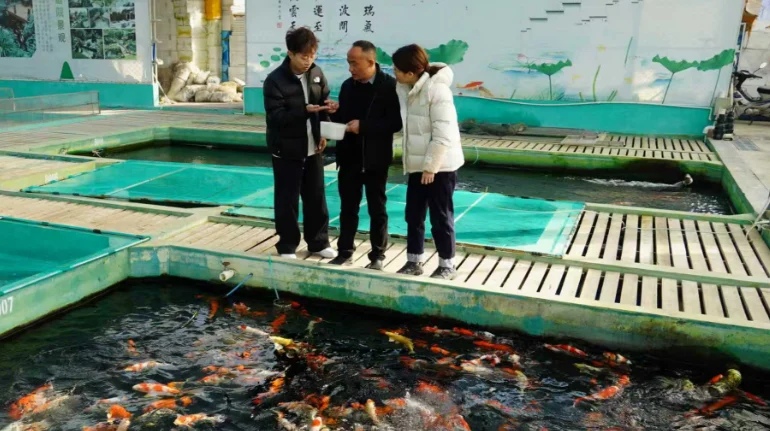 汉台107个"火种小组",燃起来了