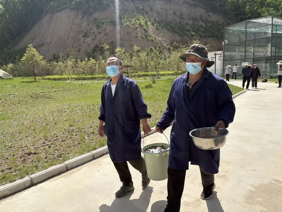 鹮舞山河四十五载，续写秦岭生态传奇