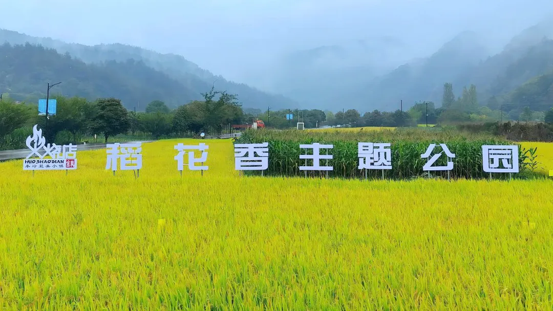 点赞！留坝休闲农业发展经验在全省交流