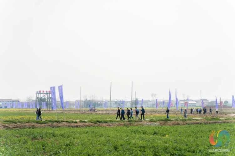 数字经济引领高质量发展 汉中市城固县踏上充满光荣梦想的远征