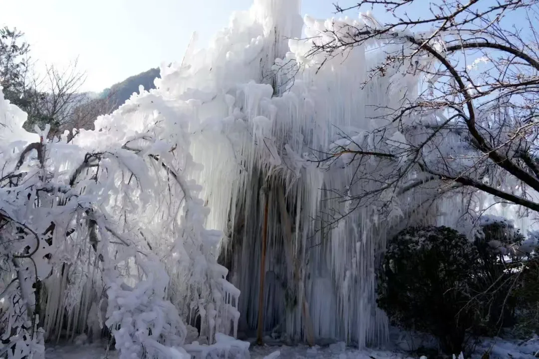 人气火,经济旺!汉中高颜值冰雪出圈→