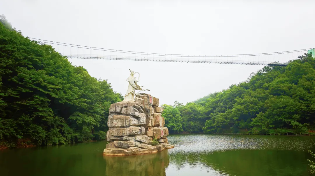 20℃云雾仙境,藏在宁强的夏日避暑秘境