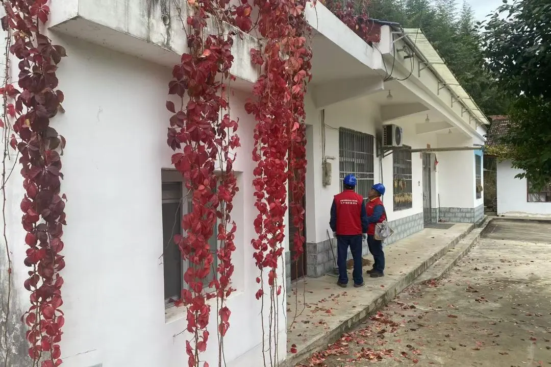 “枫”景这边独好 电靓多彩金秋