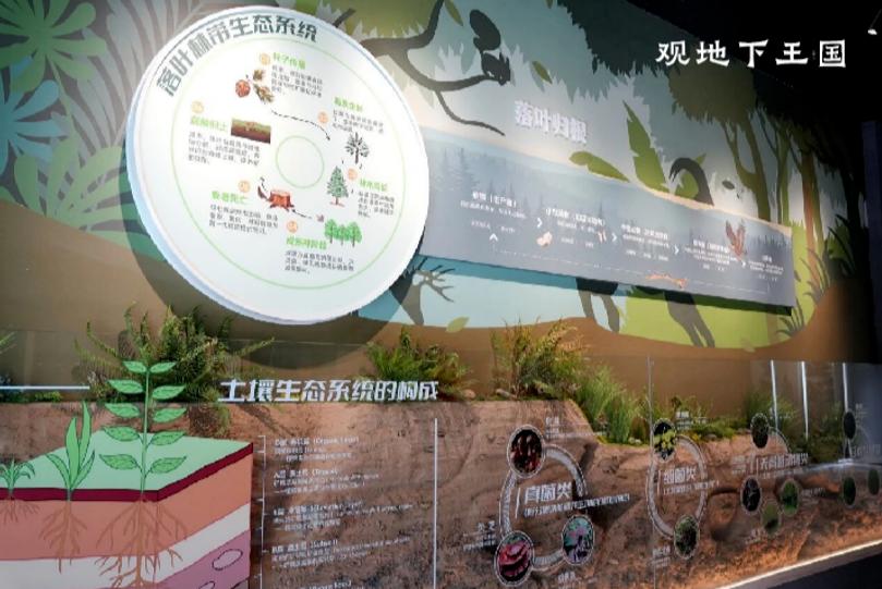 五一去哪儿了！留坝这份攻略甩给你，吃啥玩啥住哪里，闭眼跟就行