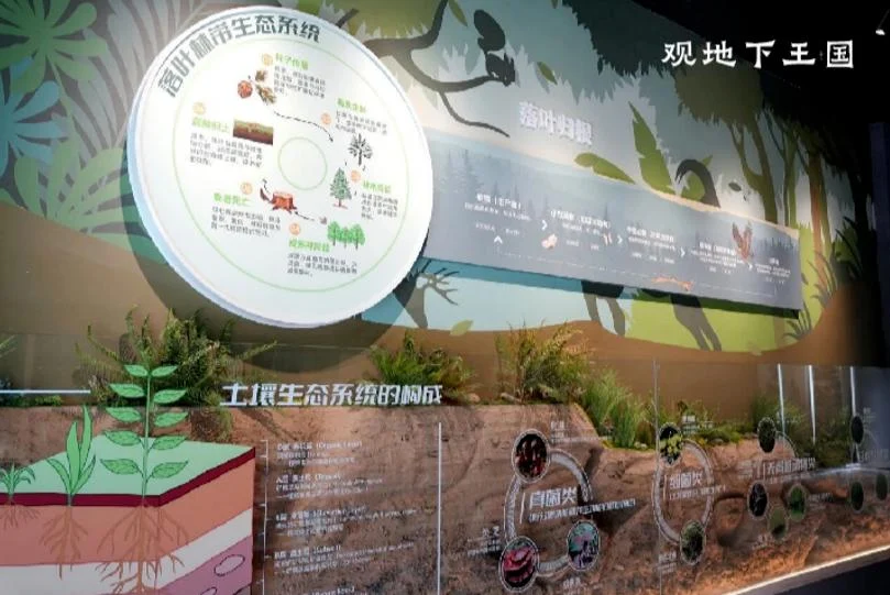 五一去哪儿了!留坝这份攻略甩给你,吃啥玩啥住哪里,闭眼跟就行