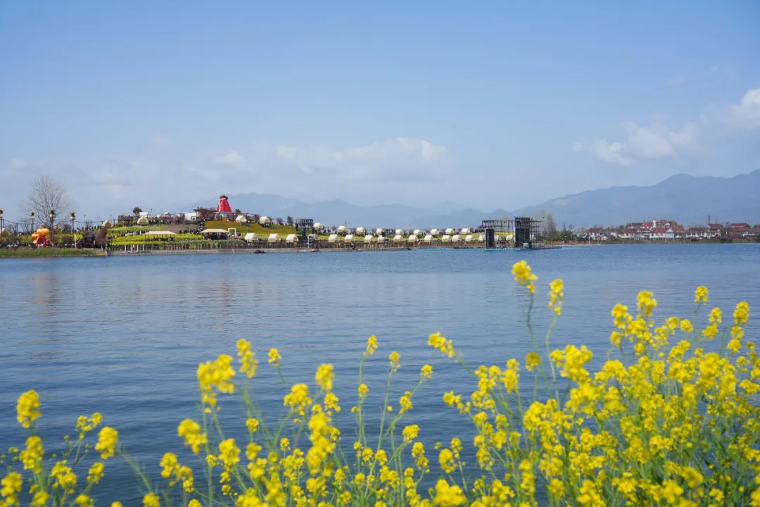2026最美油菜花海汉中旅游文化节盛大启幕