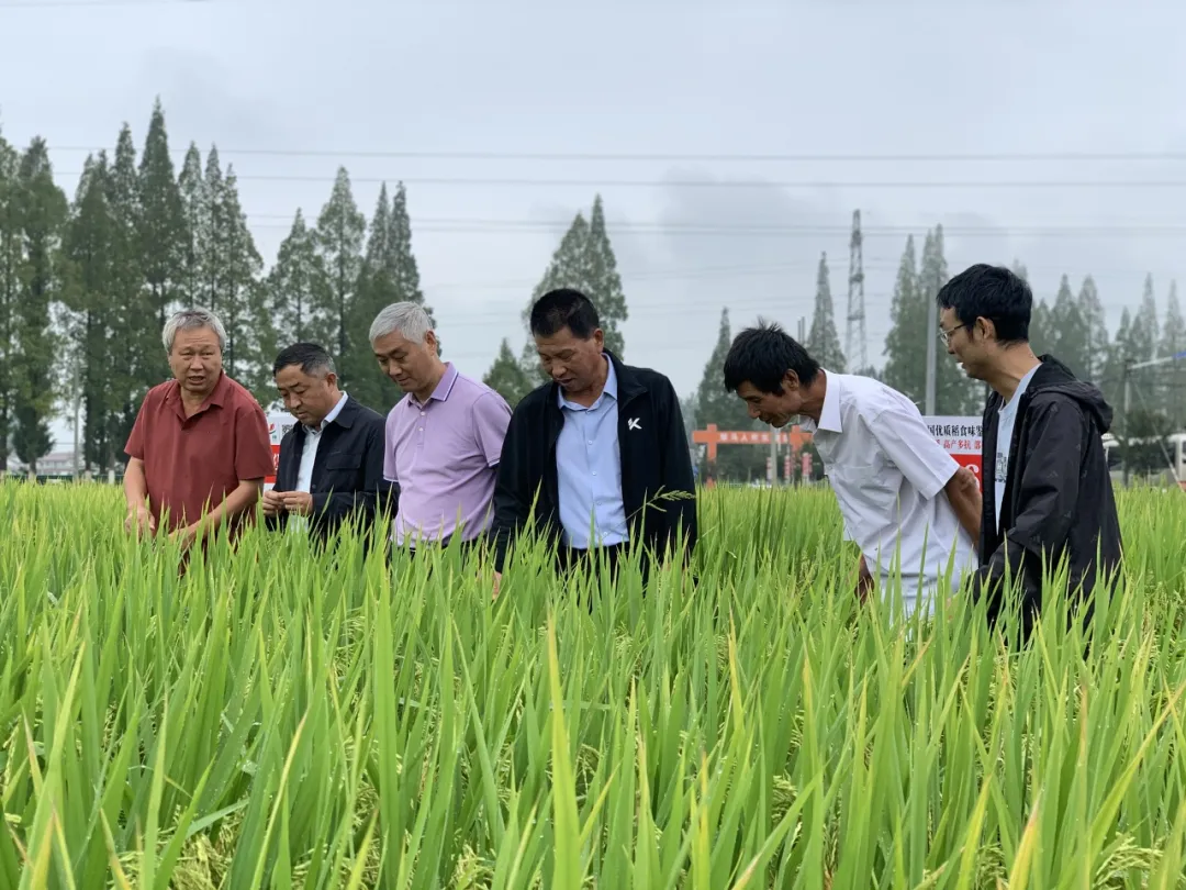 全国180余名专家齐聚汉中