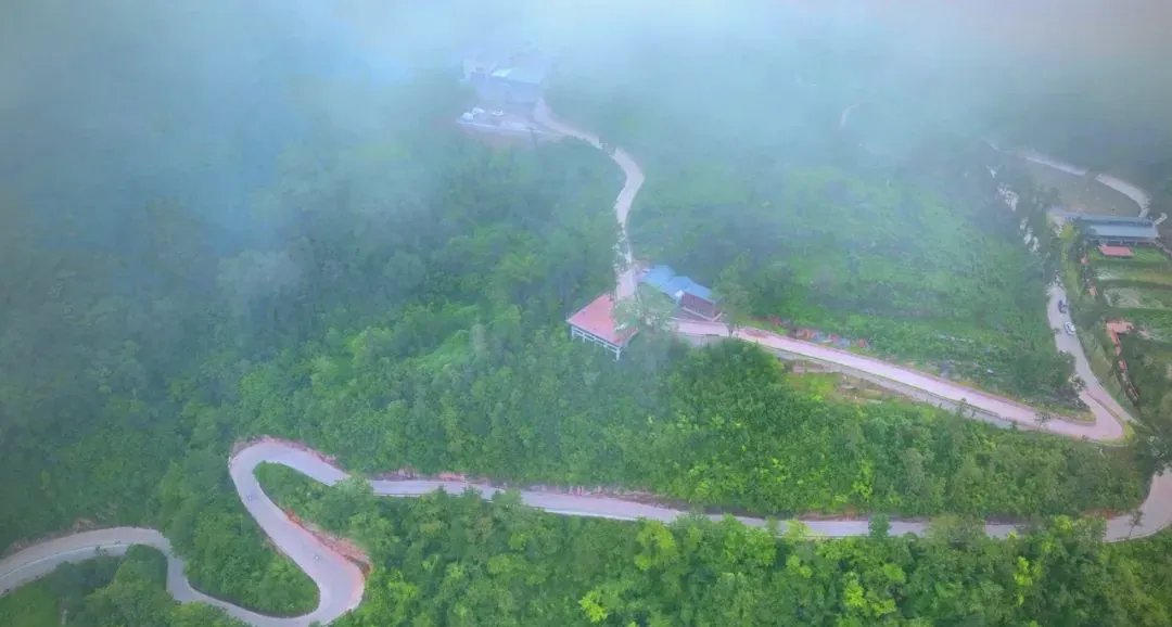 茶旅新地标！楮溪源景区带你开启茶旅融合新体验！