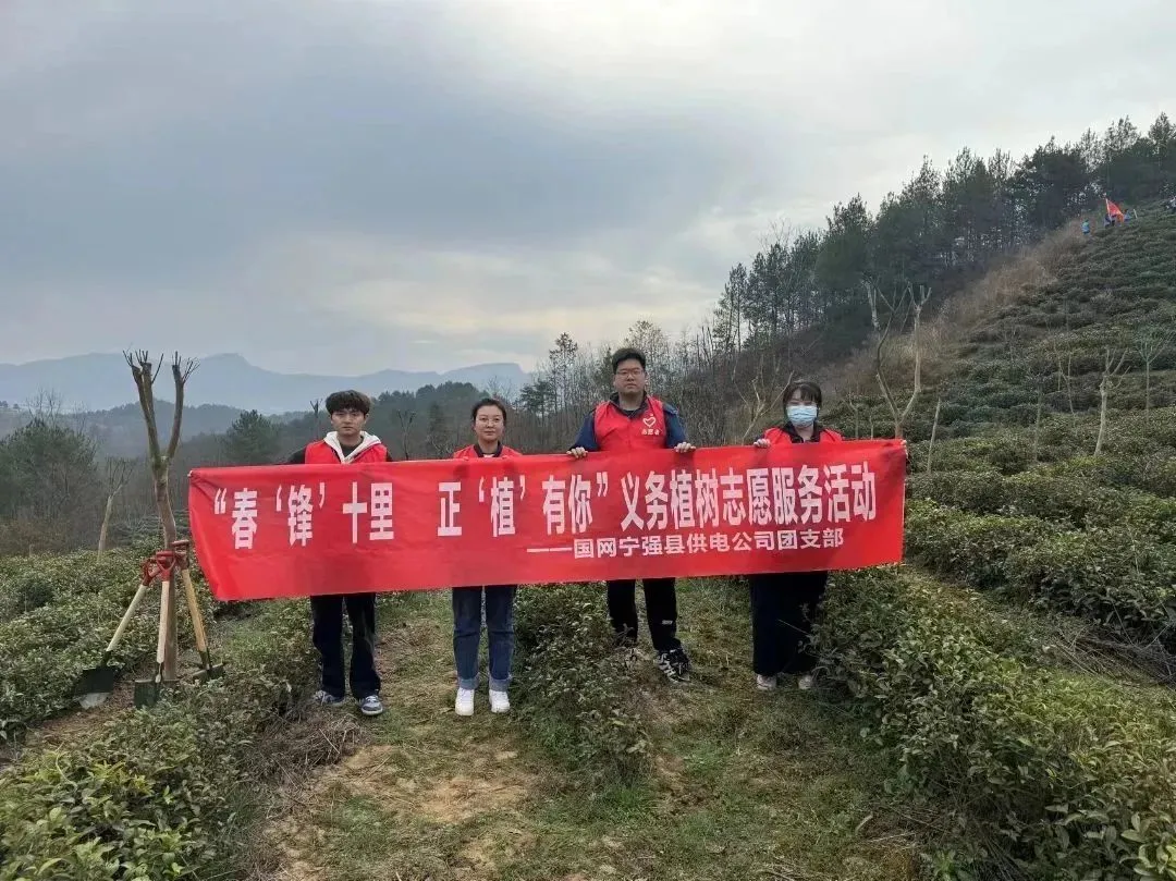 “植”此青绿 | 国网汉中供电公司开展植树节活动