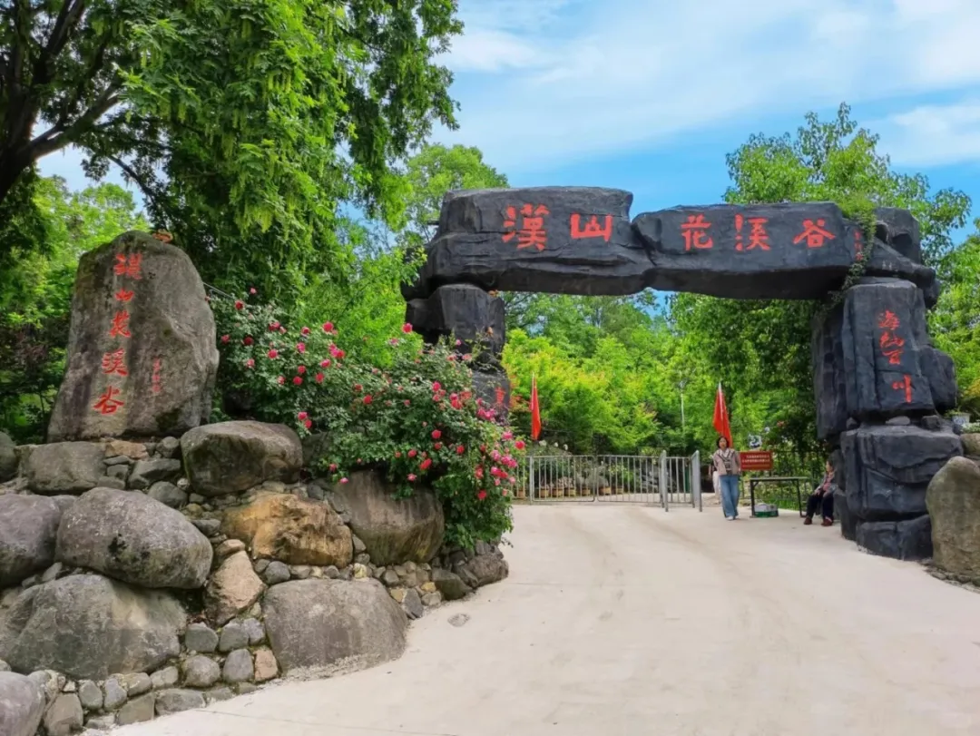 五一假期,南郑花海盛宴引八方游客