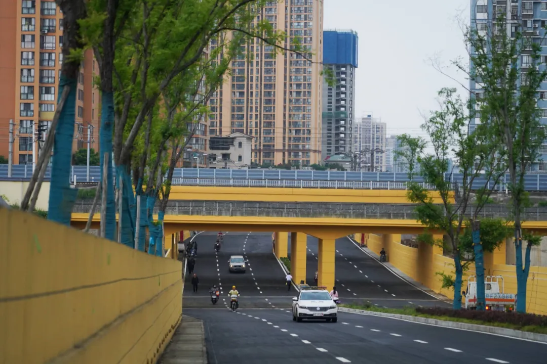 出行方便了！汉中兴汉新区惠府路主车道通车！