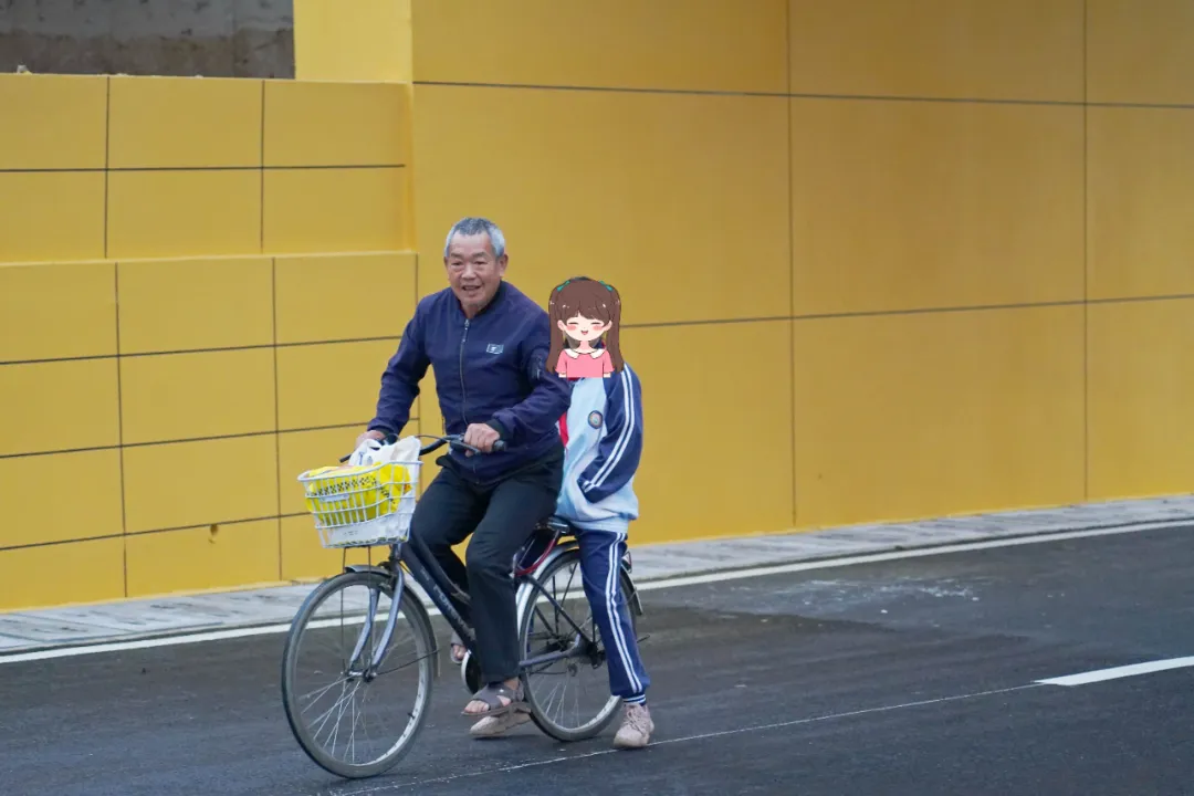 出行方便了！汉中兴汉新区惠府路主车道通车！
