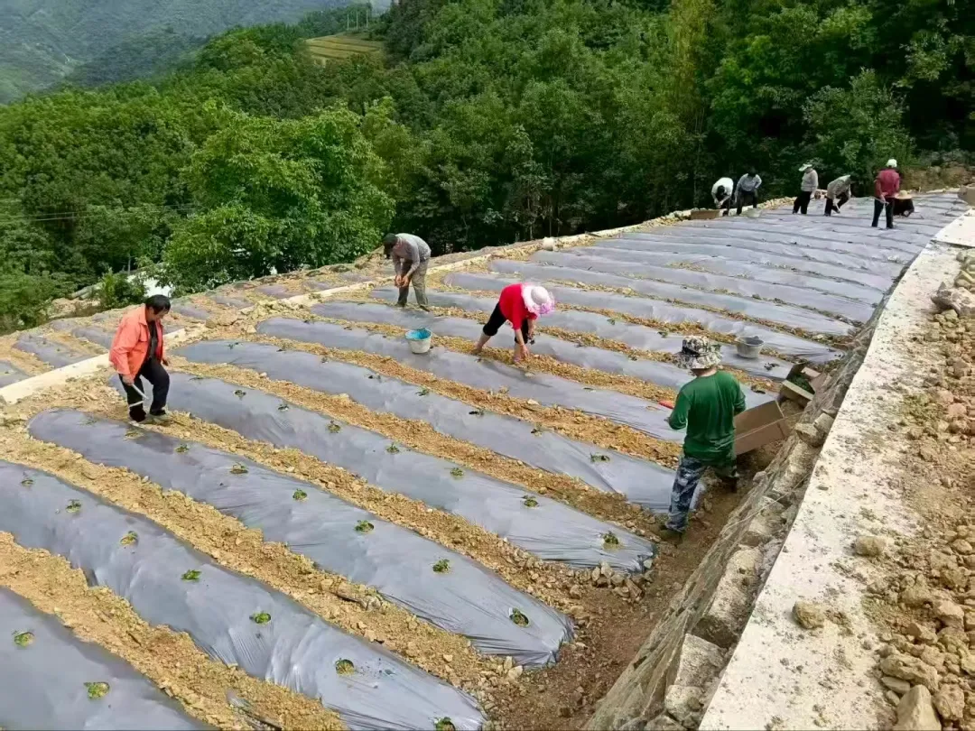 微信图片_20260528084320_1219_200.jpg