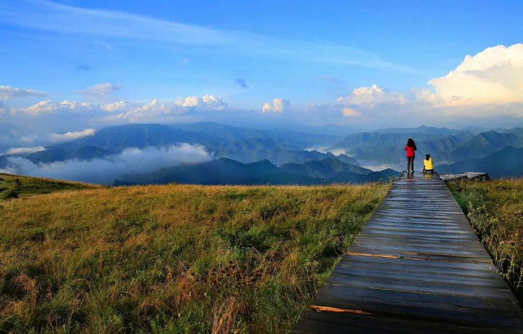 跻身全国TOP5!留坝上榜国庆旅游黑马目的地→