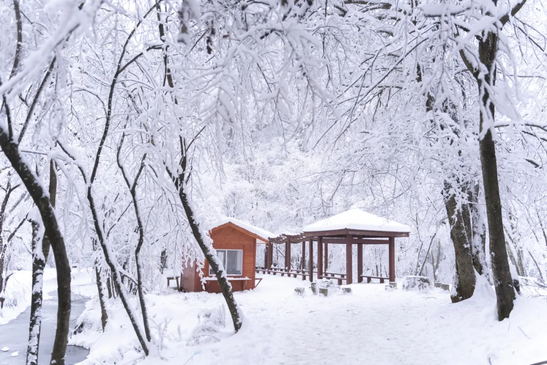 人气火,经济旺!汉中高颜值冰雪出圈→