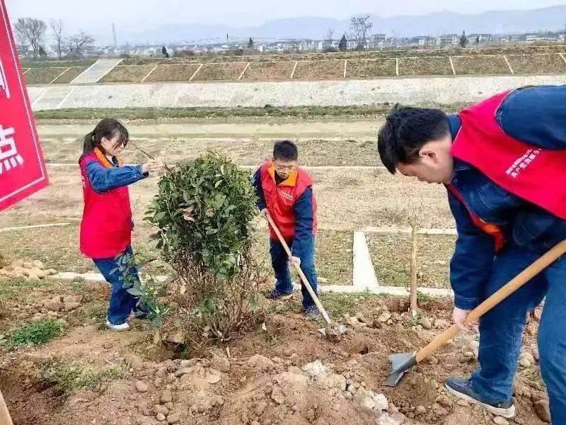 “植”此青绿 | 国网汉中供电公司开展植树节活动