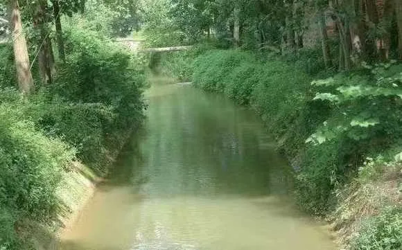 1687794405504696.jpg image027.jpg