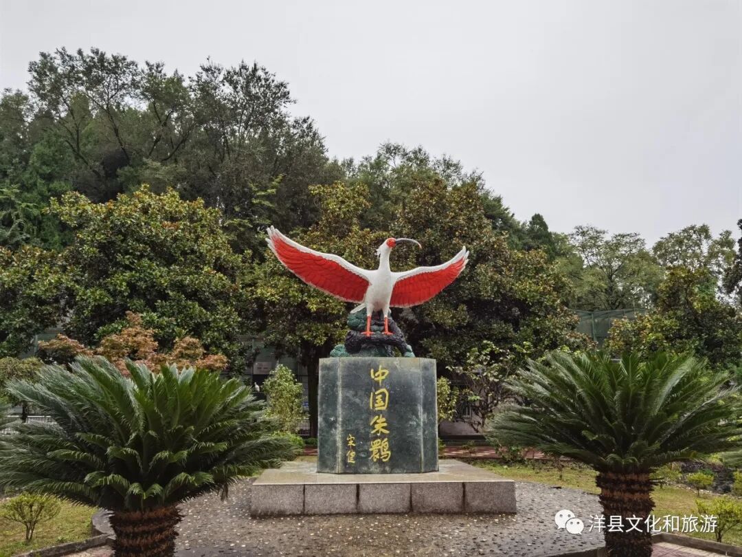 微信图片_2026-07-09_151900_685.jpg 微信图片_2026-07-09_151900_685.jpg