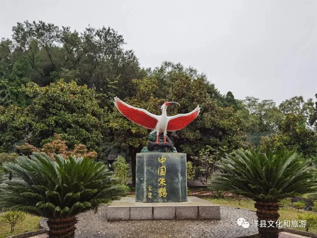 微信图片_2026-07-09_151900_685.jpg 微信图片_2026-07-09_151900_685.jpg