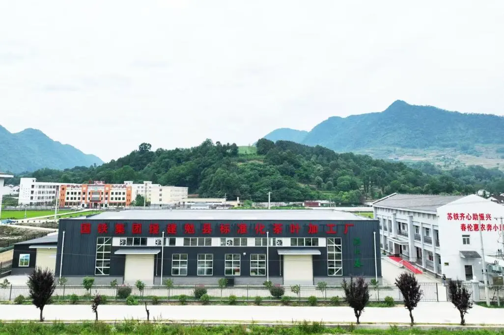 订单接到手软!汉中茶界“黑马”逆袭→