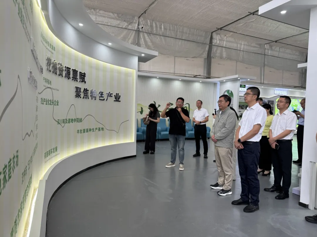 中省媒体聚焦汉中新型工业！传统行业焕发新生→