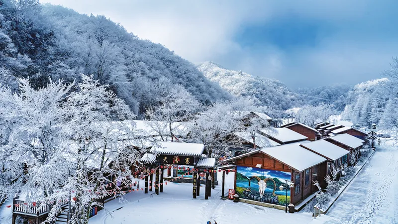 人气火,经济旺!汉中高颜值冰雪出圈→
