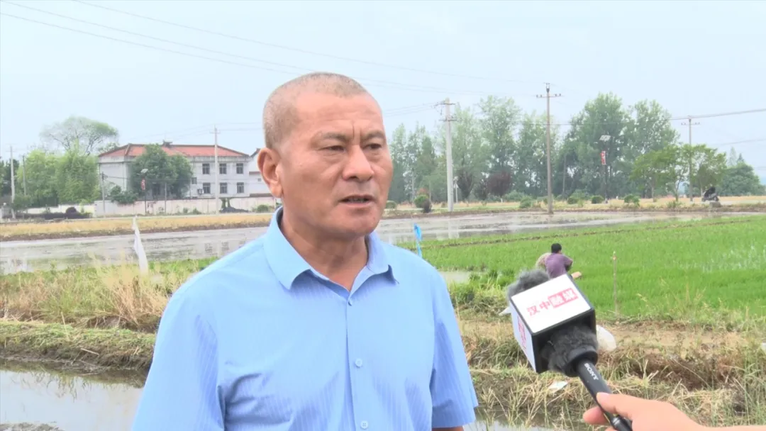 汉台:“秧”不误时 “水”尽其用,科学守护“粮袋子”