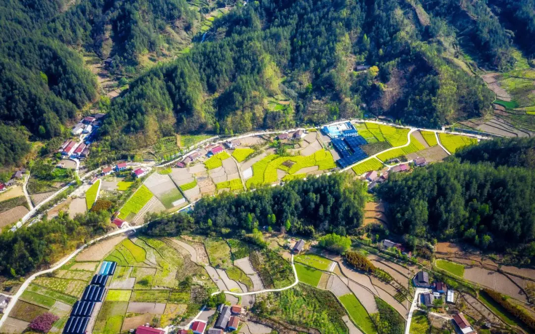 留坝：以乡村美学重塑乡土 激活振兴内生动力
