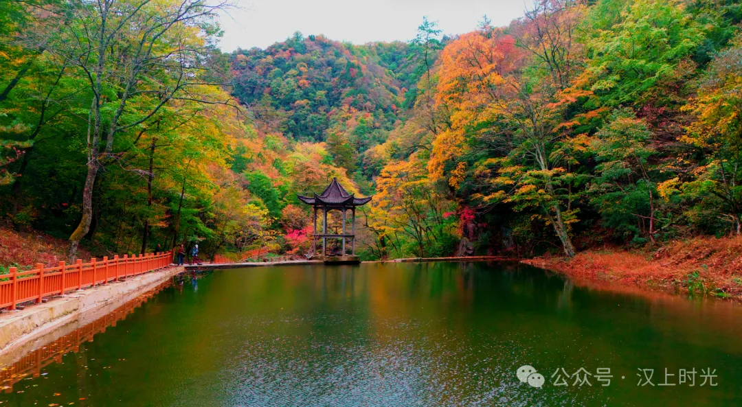 黎坪红叶节启幕,山色把秋天递到了眼前!