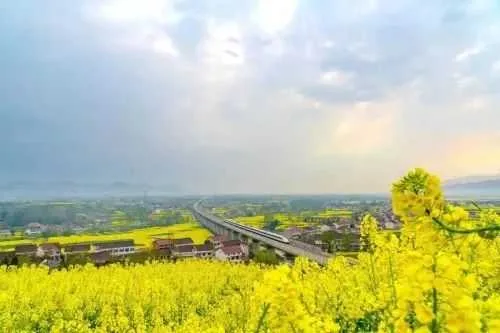 167592665412399892.jpg 图片