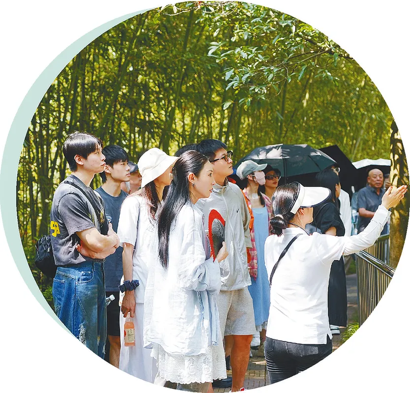 从秦岭到世界!汉中创造生态奇迹!