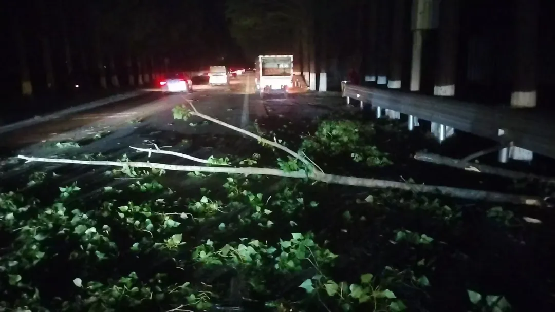 110分钟打通“堵点”！一场夜幕下的紧急抢险→