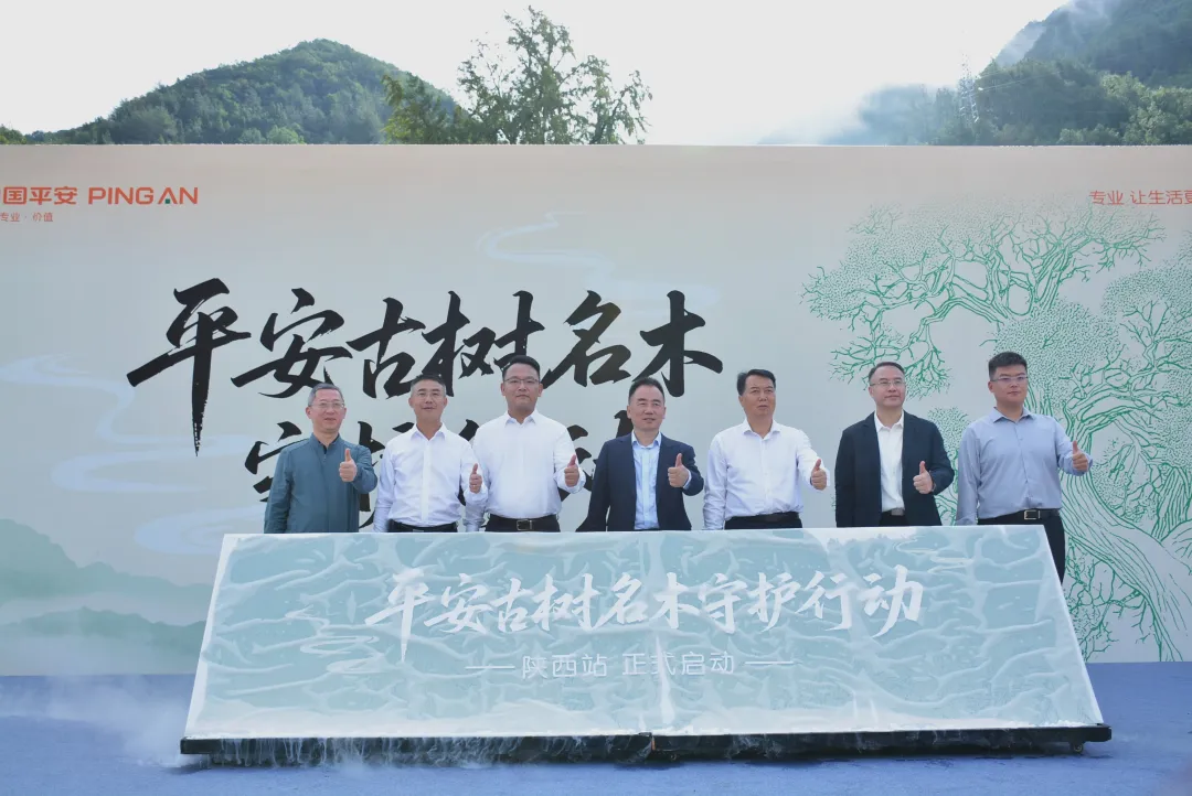 汉中545株古树名木获保险护航!单株最高保8万元!