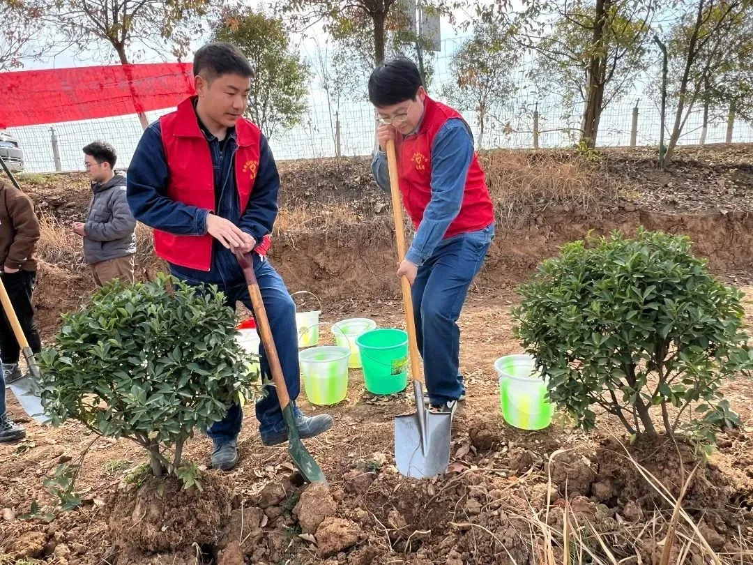 “植”此青绿 | 国网汉中供电公司开展植树节活动