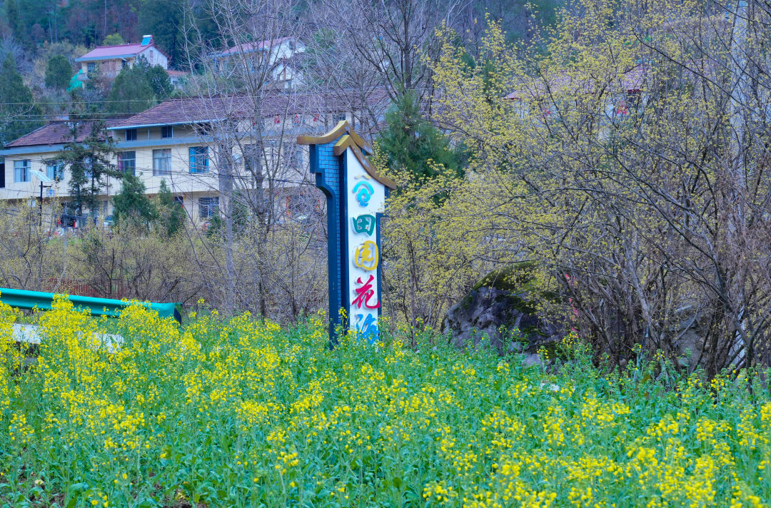 佛坪春日漫之旅：雪山缀金黄，烟火伴清欢，这才是春天该有的样子