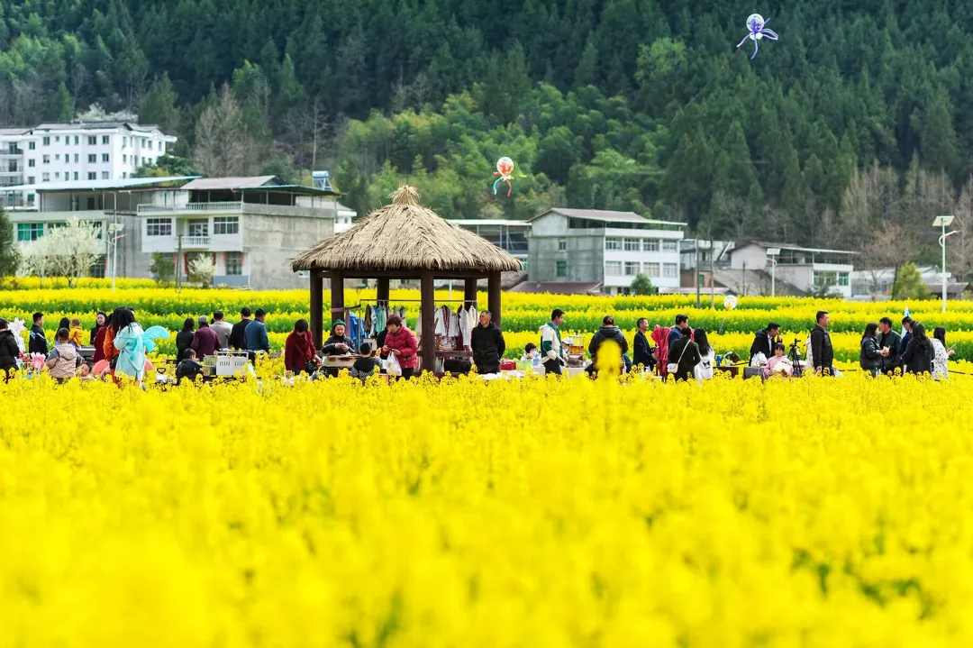 清明打卡黎坝，看《风起巴山》，赏限定花海