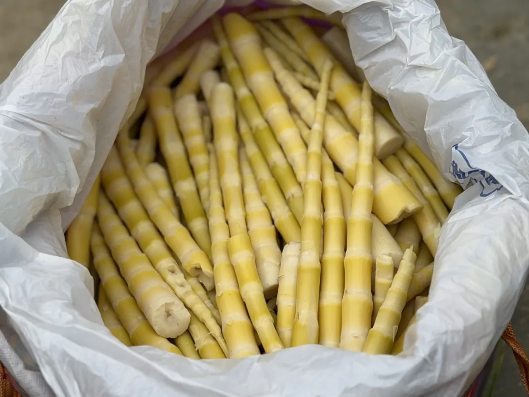 鲜!尝一口汉中春天的味道