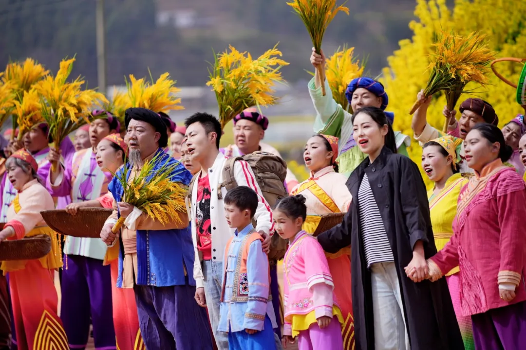 清明打卡黎坝，看《风起巴山》，赏限定花海